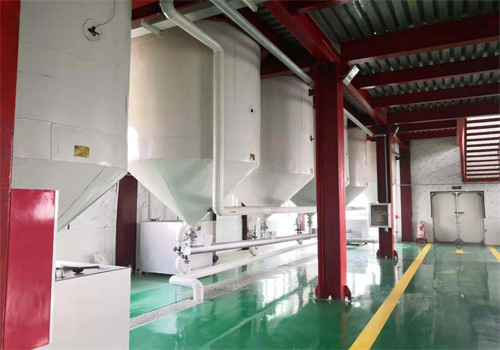 ghana 1 ton/hour baobab seed oil production line