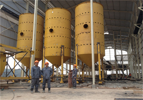 5 tons/day rapeseed oil production line in kenya market