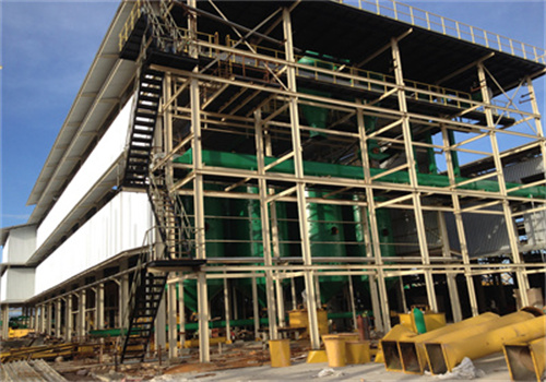 benin 80 tons/day palm kernel oil production machine