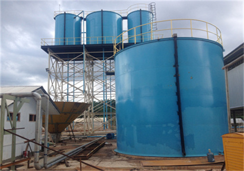 egypt best quality 10 tons/day cottonseed oil production line