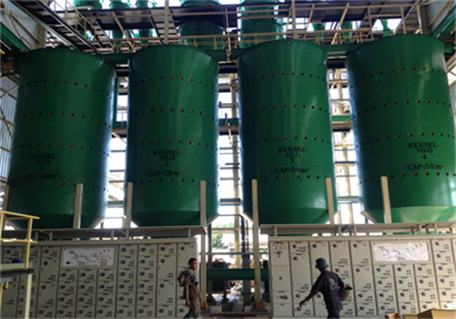 paraguay reasonable price sunflower rice bran oil production line