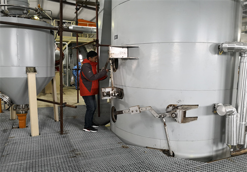 egypt hot sale cottonseed oil production line