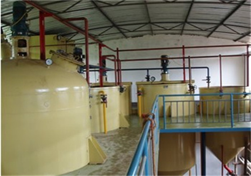 zimbabwe cottonseed cold oil production line scale