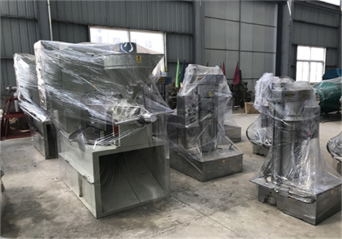bangladesh automatic palm kernel oil production line