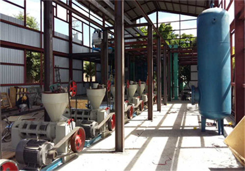 palm kernel oil production line for sale in zambia