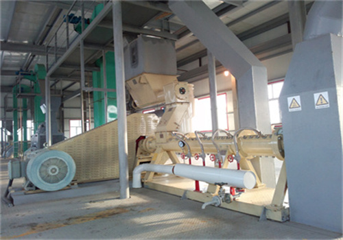 sabah factory sells palm kernel oil production line costs