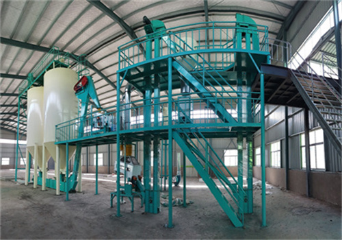 egypt 100 tons/day cottonseed oil small production line