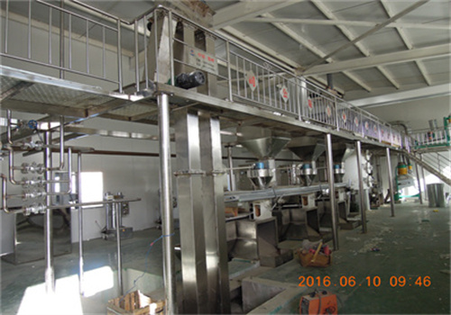 kenya market 1-3tph palm kernel oil production line
