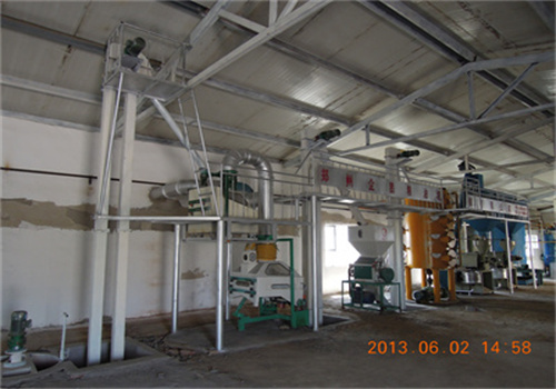 india reliable cottonseed oil production line project