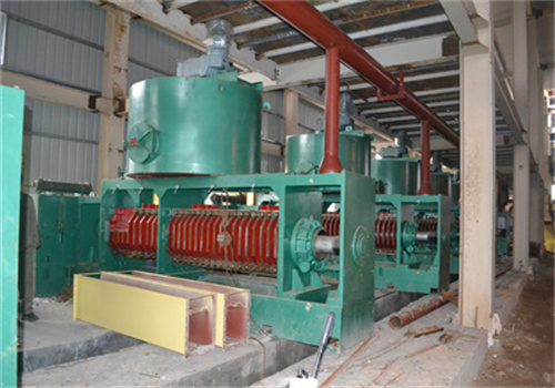 senegal 30 tons/day baobab seed oil production line equipment