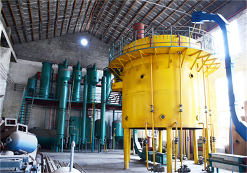 argentina 100t/d rapeseed oil production line price