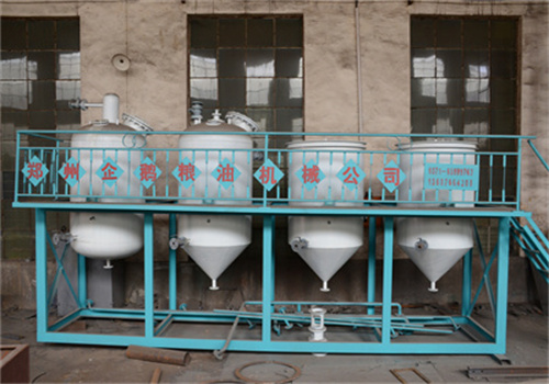 cairo market 3 tons/day cottonseed oil production line
