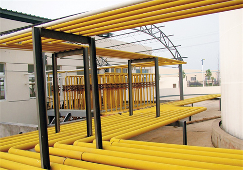 malawi small cottonseed oil production line guidance