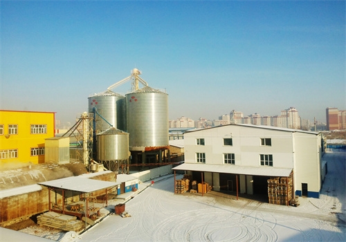 kenyan exporter 50t/h palm oil production line