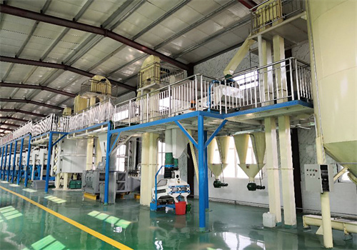 ghana project 10t/d rapeseed oil production line