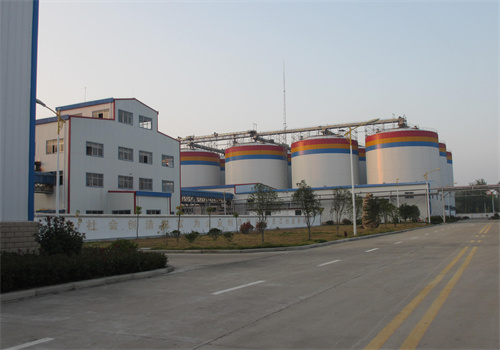 botswana 100 tons per day palm kernel oil production line