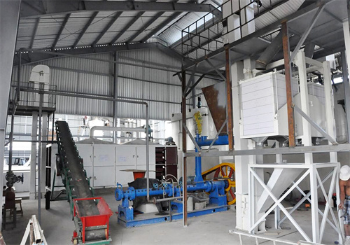 bolivia how to start a cottonseed oil production process