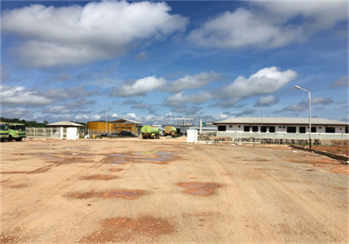 canadian competitive low cost palm kernel oil production line