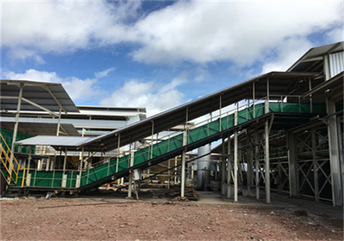 philippines sunflower coconut oil production line exporter