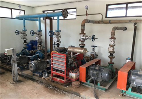 botswana 1-20tpd cottonseed oil production line design cost