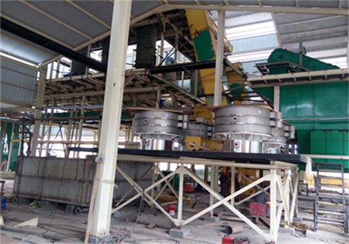 ethiopia hot sale mustard cottonseed oil production line