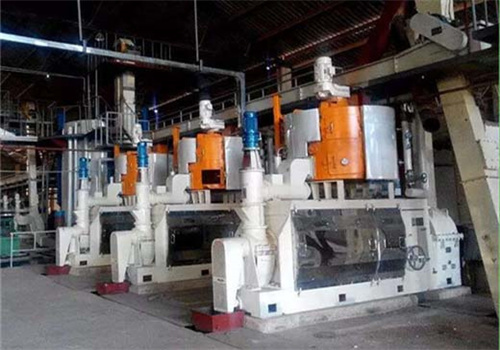 sunflowers peanut oil press machine for fresh aromatherapy