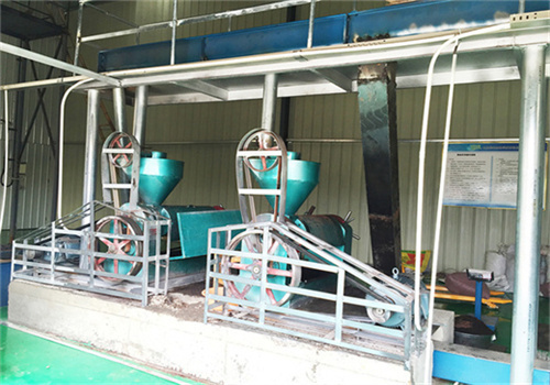 israeli sunflower oil press discount price