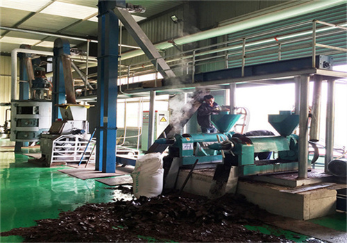 large cold palm sunflower oil press machine for sale