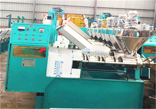 malawi large capacity palm oil press