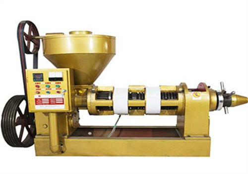 30 tons daily large oil press squirrel oil press